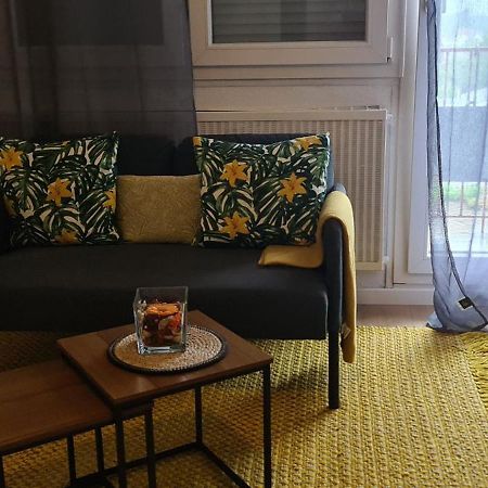 Studio Kulla Avec Terasse 5Mn Basel Airport Сен-Луи Екстериор снимка