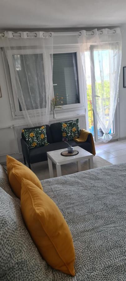 Studio Kulla Avec Terasse 5Mn Basel Airport Сен-Луи Екстериор снимка