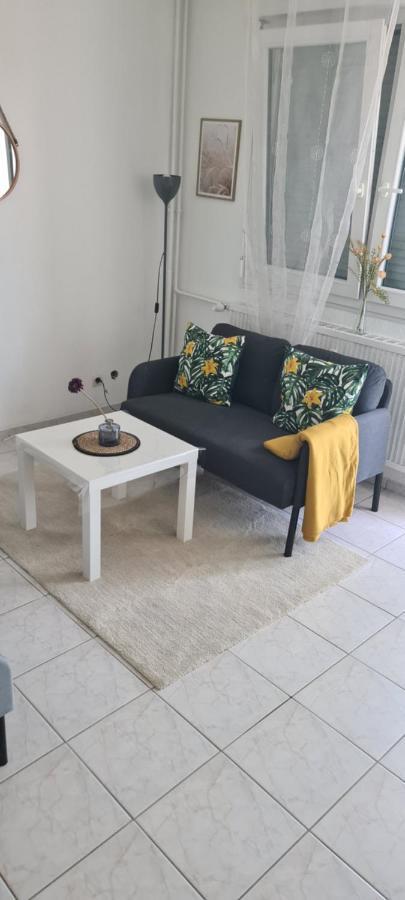 Studio Kulla Avec Terasse 5Mn Basel Airport Сен-Луи Екстериор снимка