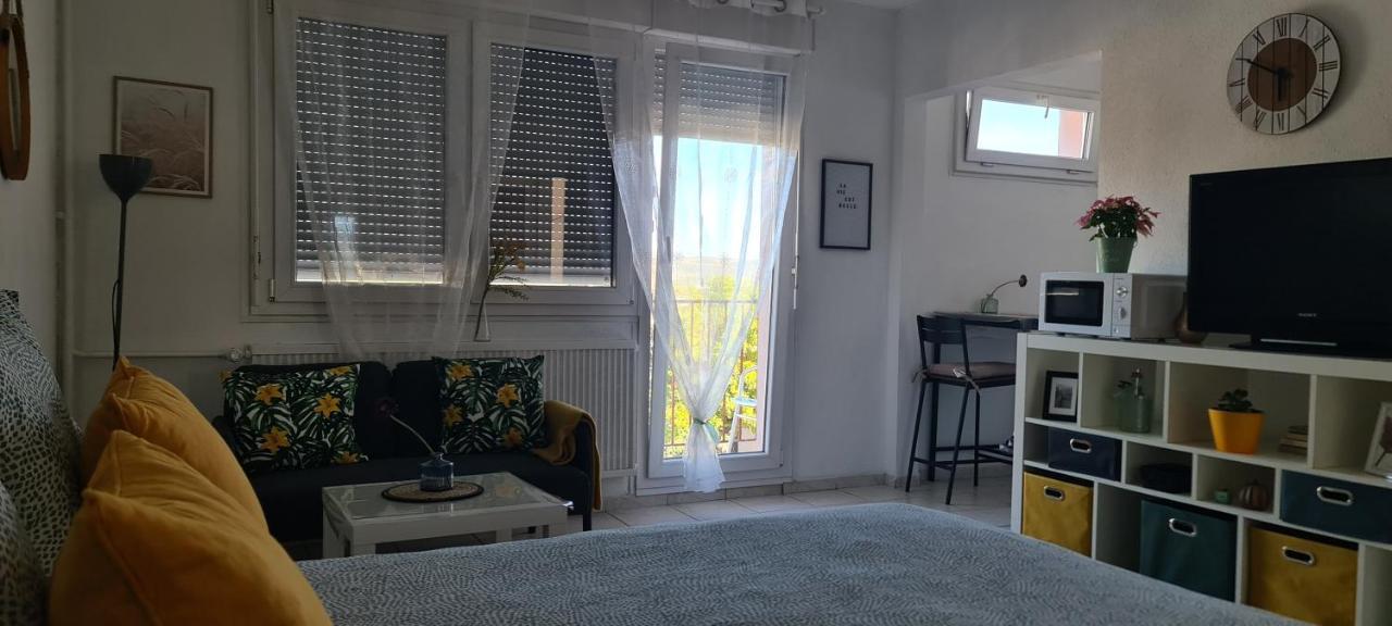 Studio Kulla Avec Terasse 5Mn Basel Airport Сен-Луи Екстериор снимка