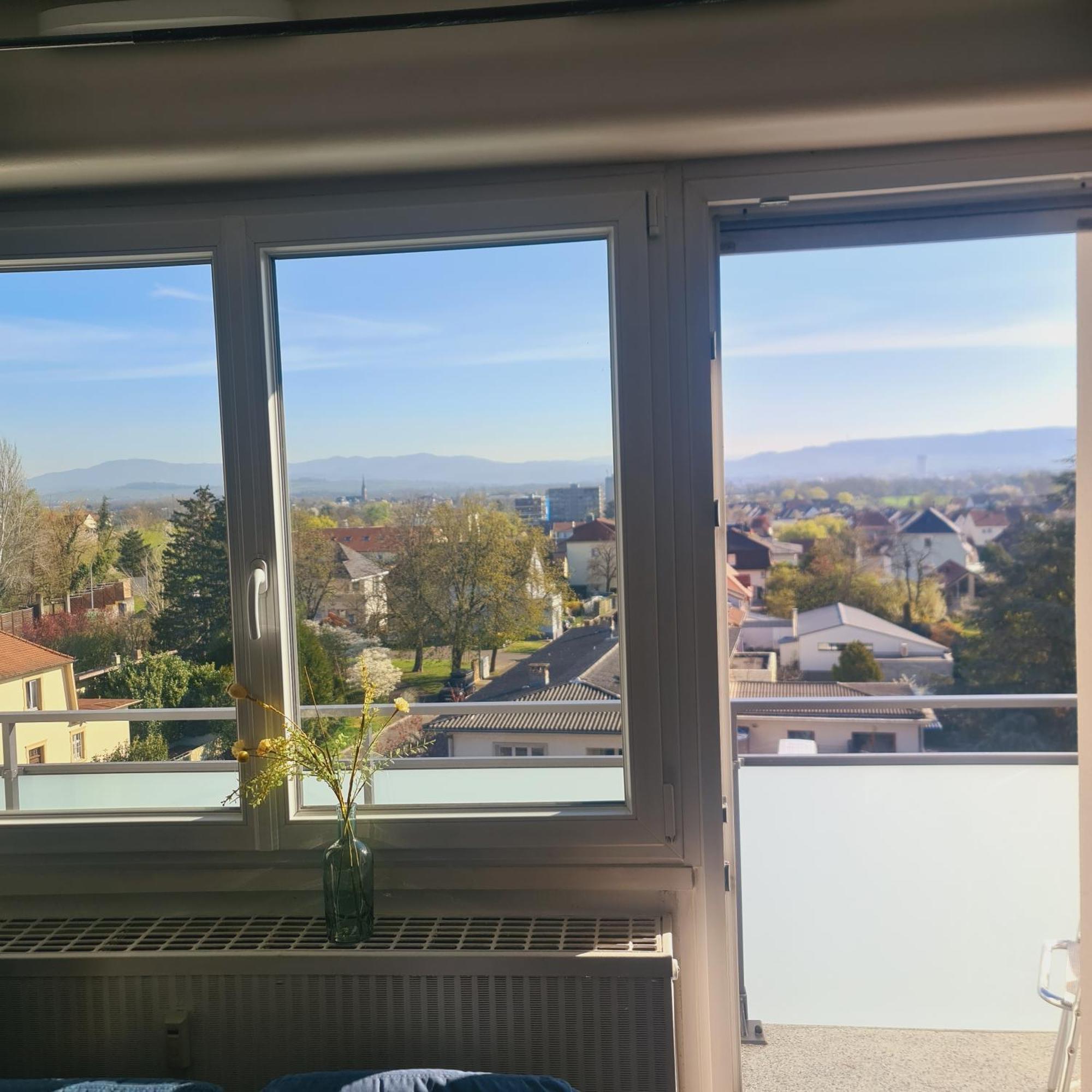 Studio Kulla Avec Terasse 5Mn Basel Airport Сен-Луи Екстериор снимка