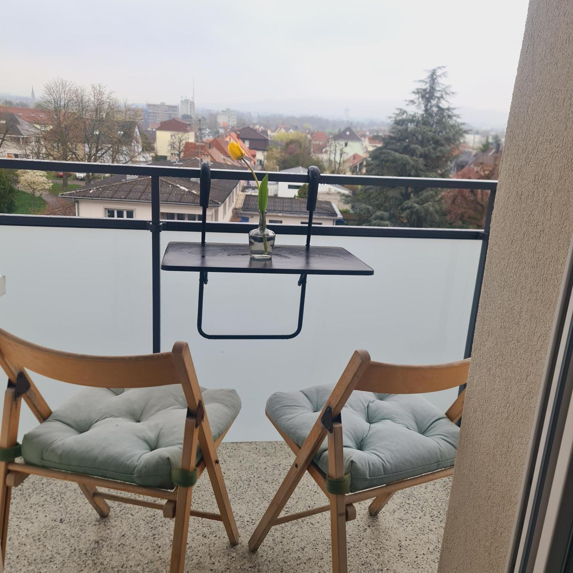 Studio Kulla Avec Terasse 5Mn Basel Airport Сен-Луи Екстериор снимка